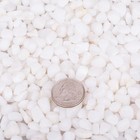 2 0 Lb White Aquarium Gravel Pebbles 3 8  Natural Decorative Substrate Small