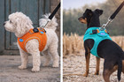 Dog Harness 2 Pack For 11   15 Lbs  Reflective Adjustable Padded Turquoise Set