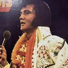 Vintage Rca 1975 Elvis Presley Pure Gold Vinyl Album Pre-owned