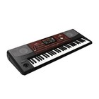 Korg Pa700 Professional Arranger Keyboard 61 Key Genuine Product Brand New