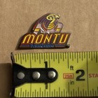 Montu Roller Coaster Busch Gardens Vintage Hat Pin Tampa Florida Souvenir Lapel