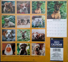 2023   puppies       dogs   Wall Calendars      last One  