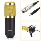 Microphone Podcast Equipment  Studio Recording   Broadcasting Mic With  