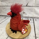    mac The Cardinal    Ty Beanie Baby  all Errors  Rare Collectible 1998 1999