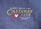 Disney Cruise Line Mens Sz M Pullover 1 4 Zip Castaway Club Platinum Member Navy