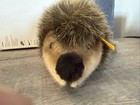 Vintage Steiff Bear Hedgehog W  All Tags   Button 070556 Germany Stuffed Rare