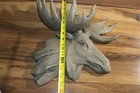 Moose Head Profile 3d Unique Man Cave Perfection Faux Wood 18x15x7 Rare