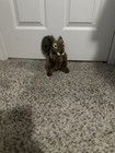 Hansa Squirrel Plush Stuffed Animal Brown gray beige Small 6-14 In Retired