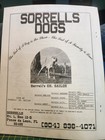Sporting Dog Journal Rare Pit Bull Magazine Mar apr 1995 Pit Bull Book Gamedog