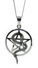 Snake Pentacle Necklace Pendant 925 Silver Pagan Wiccan 18  Curb Chain Boxed