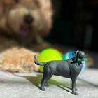 Safari Ltd  Black Labrador Retriever Figurine - Hand-painted  Lifelike 3 75  Mod