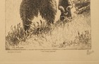Vtg   Etching  the Three Bears  C e  Johnson Yellowstone s Frank Haynes Signed