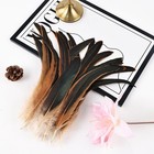 Colorful Rooster Tail Feathers-50pc 10-12inch Natural Long Natural