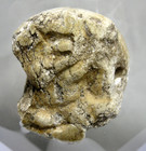 Ancient Bactrian Kneeling Man   Dragon Motif Steatite Seal 1st-2nd Millennium Bc