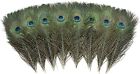 12 Pcs Real Natural Peacock Eye Feathers 10-12 Inch For Diy Craft  Wedding    