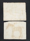 1810s Antique Horse Anatomy 2pc Orig Engraving Rees s Encyclopedia Veterinary