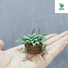 1 12 Dollhouse Miniature Hanging Plant Green Potted Flower Model Decor