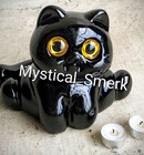 Haunted Doll Active Spirit Positive Witch Owned Cat Tangible Item Chip Black