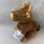 Ganz 2026 Webkinz Next Highland Cow New Wk00033 Dual 2 Adoption Codes Gen3