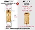 1 4-inch Brass Female Industrial Coupler  10 Pack 1 4 Inch Air Hose Fittings    