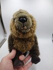 Ganz Webkinz Signature Dark Brown Beaver 18   Wks1027 Plush Only No Code 2011