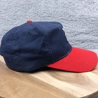 Vintage Asheville Tourists Hat Cap Snapback Minor League Baseball  1 Apparel