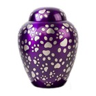 Pet Urn For Dog Cat Ashes Brass Paw Print Cremation Urn Medium 80 Cu In To 80 Lb