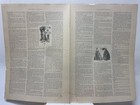 Charles Dana Gibson Collier s Weekly Print  the Greatest Game  Edwardian