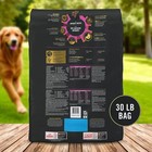 Purina Pro Plan Sensitive Skin   Stomach Adult Dog Food Salmon   Rice 30 Lb Bag