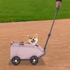 2-in-1 Dog Wagon Stroller For Small Dogs 7 5kg Push Pull Foldable Dog Cart