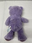 Build A Bear Anna Disney Frozen Purple Sparkle 16  Plush Soft Toy Stuffed Animal