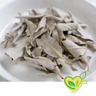White Sage Smudge Stick     Natural Cleansing  Purify   Aromatherapy Herb 1 Oz