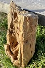 Remarkable  65 Lb Petrified Fossil Wood Detailed-lots Of Knots   Druzy Sparkle
