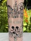Disney Starbucks Disneyland Stainless Steel Water Bottle Mickey Castle 16 Oz New