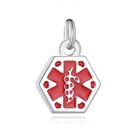 Medical Alert Id Symbol Mini Charms Silver  Gold  Rose Gold Stainless Steel