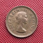 South Africa 1954 Bronze 1 4 Penny  Elizabeth Ii  Pretoria  High Grade  Km  44