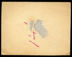 Skye Terrier Dog Full Speed Cigarette Card - Dutch C  1954