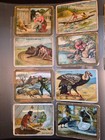 Vintage Tobacco Cards Lot  17 