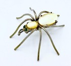 Antique 1920s Silver-tone   Mother Of Pearl Spider Pin