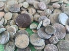 10 Coins Per Lot  Mid Quality Uncleaned Greek Coins  2000  Years Old 