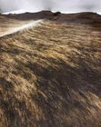 High End Brazilian Xxlarge Exotic Brindle Natural Cowhide Rug skin  Cl-209