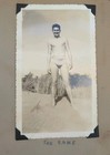 Ww2 Photo Album 250  Photos Tanks Aviation Forest Fire Pretty Ladies Military