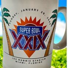 Nfl Super Bowl Football Xxix 29 Vintage Miami Stadium 1995 Beer Mug Coffee Stein