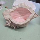 Large Vintage Atlantic Mold Ceramic Conch Sea Shell Planter vase beach Decor