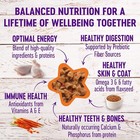 24 Pack - Wellness Complete Health Minced Adult Wet Cat Food Grain Free 5 5oz