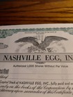 10 Nashville Egg  Inc Stock Certificates  Unissued 