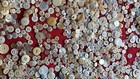 Vintage White Cream Button Huge Lot Sew Mixed Sizes Sewing Crafts Neutral