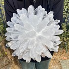 8 35lb New Find White Phantom Quartz Crystal Cluster Mineral Samples Healing
