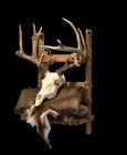 Pack Mount Frame  Deer Backpack Mount  Taxidermy Pack Out Mount Deer Mount Frame