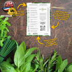 Herb Seeds Variety Pack Culinary Herb Collection  12 Individual Packets For Plan